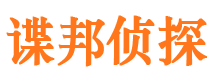 阳新侦探公司